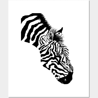 Black and White Zebra Posters and Art